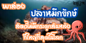 ปลาหมึกยักษ์