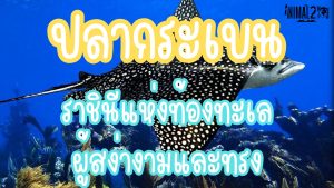 ปลากระเบน